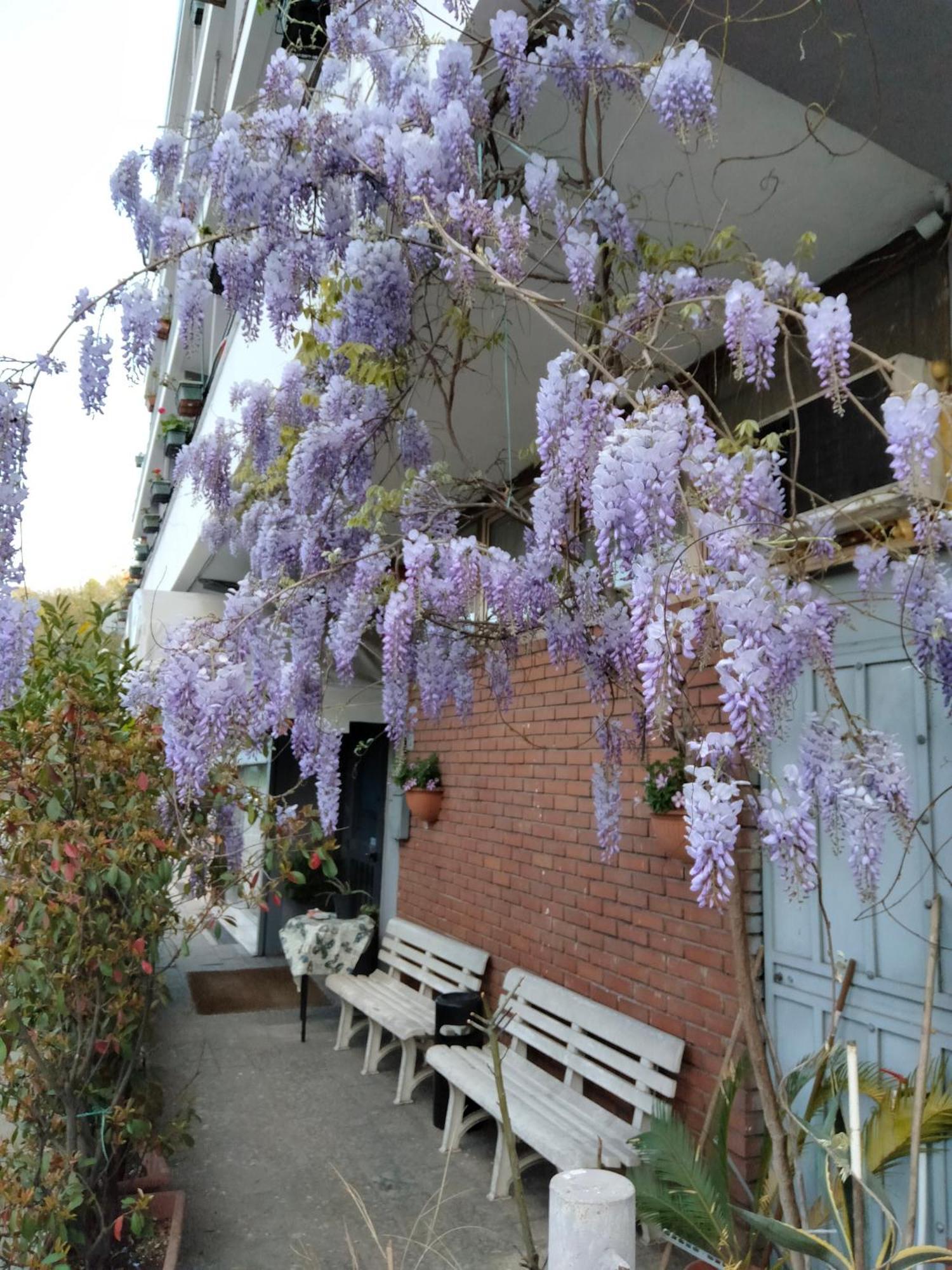 Hotel Lombardia Seveso Екстериор снимка